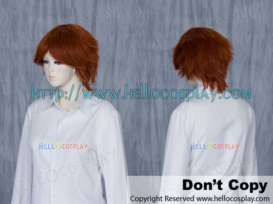 Brown Cosplay Straight Wig