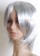 Silver Grey 003 short Wig