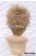 Haikyū Cosplay Kei Tsukishima Wig Short Light Golden