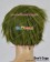 Free Iwatobi Swim Club Cosplay Makoto Tachibana Wig