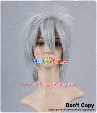 Silver Grey Cosplay Short Layered Wig