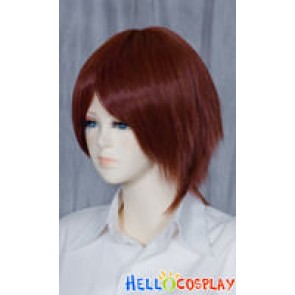 Reddish Brown Short Cosplay Wig