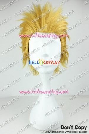 Fate Zero Archer Cosplay Wig