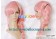 Final Fantasy XIII 13 Serah Farron Cosplay Wig