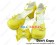 Creamy Yellow Bow Chunky Princess Lolita Shoes