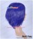Vocaloid Project DIVA Cosplay Kaito Wig