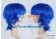 Ikki Tousen Cosplay Shimei Ryomou Wig