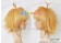 Tsubasa: Reservoir Chronicle Cosplay Sakura Wig