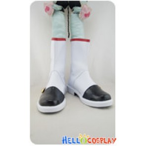 Sakura Wars Cosplay Taiga Shinjiro Boots