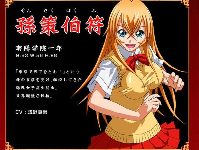 Battle Vixens Cosplay Hakufu Sonsaku Costume Battle Vixens Cosplay Hakufu Sonsaku Costume