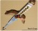 Kyōryū Sentai Zyuranger Lost Galaxy Cosplay Sword Weapon Prop