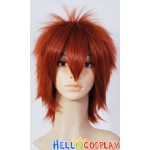 Katekyo Hitman Reborn Cosplay Tsunayoshi Sawada Red Brown Wig