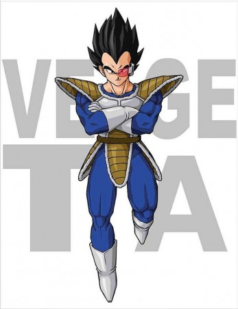 Dragon Ball Cosplay Vegeta Costume