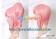 Code Geass Cosplay Aniya Wig