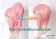 Code Geass Cosplay Aniya Wig