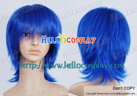 Ikki Tousen Cosplay Shimei Ryomou Wig