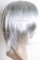 Silver Grey 003 short Wig