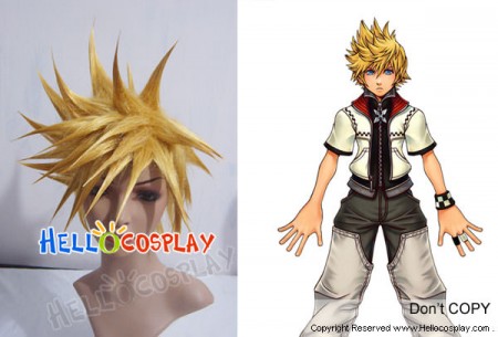 Kingdom Hearts II Cosplay Roxas Wig