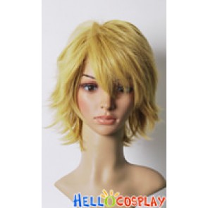 Durarara Cosplay Shizuo Heiwajima Wig