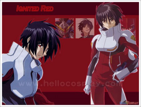 Shinn Asuka Mobile Suit Cosplay Uniform From Gundam SEED Destiny