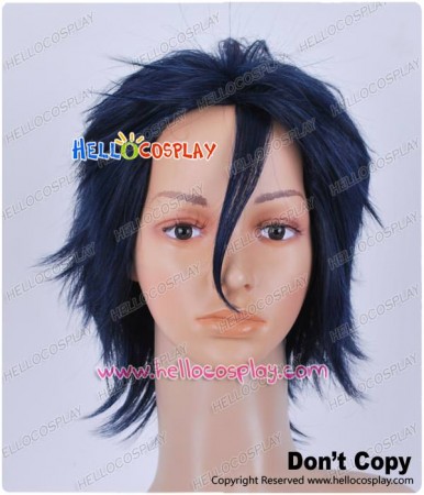 Fate Zero Lancer Cosplay Wig