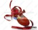 Wine Red Long Satin Strap Chunky Princess Lolita Shoes