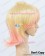 Makai Ouji Devils And Realist Cosplay William Twining Wig