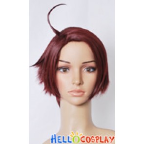 Axis Powers Hetalia APH Austria Cosplay Wig