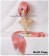 Vocaloid 2 Hatsune Miku Pink Cosplay Wig Ponytail Wig