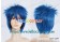 Blue Short Wig 010