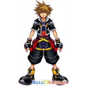 Kingdom Hearts Sora Cosplay Wig