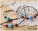 Arcana Famiglia Cosplay Liberta Necklace Bracelets