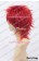 Vocaloid Cosplay Akaito Wig 30CM Seijuro Akashi Wig Red Universal Layered Short