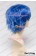 Wig 30CM Cosplay Pure Blue Universal Short Layered