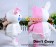 Danganronpa 2 Cosplay Monomi Rabbit Plush Doll