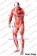 Attack On Titan Shingeki No Kyojin Cosplay Kinnikuman Leotard Costume Bodysuit