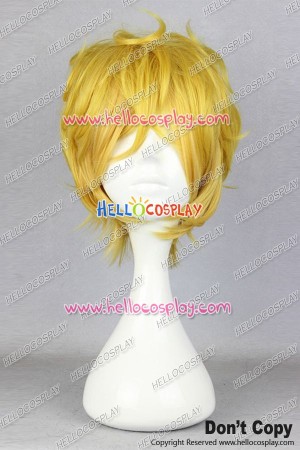 Karneval Yogi Cosplay Wig