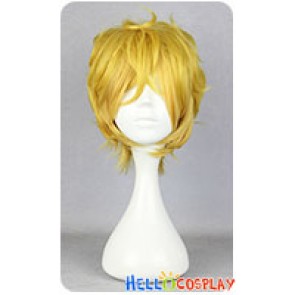 Karneval Yogi Cosplay Wig