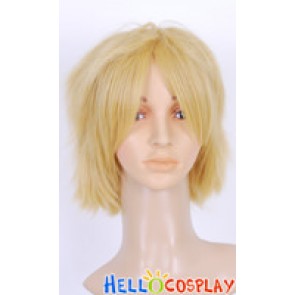 La Storia Della Arcana Famiglia Liberta Cosplay Wig