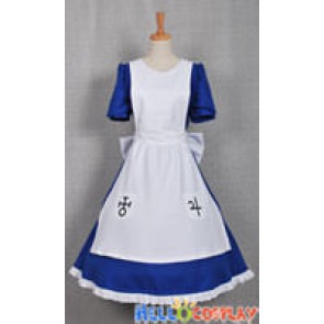 Alice: Madness Returns Costume Alice Blue Dress