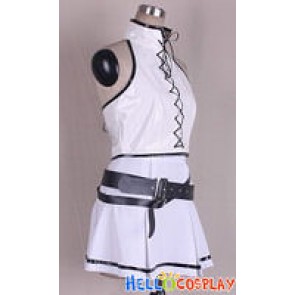 Vocaloid 2 Project DIVA 2nd Hatsune Miku Costume Eeru Danju Ver