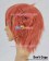 Brothers Conflict Cosplay Futo Asahina Short Wig