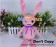 Vocaloid 3 Cosplay Yuzuki Yukari Rabbit Plush Doll