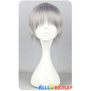 Katekyo Hitman Reborn Hayato Gokudera Cosplay Wig Gray