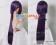 Hakuouki Shinsengumi Kitan Cosplay Saitou Hajime Wig