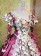 Victorian Lolita Renaissance Colonial Wedding Gothic Lolita Dress