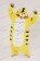Kigurumi Costumes Tiger Kigurumi Pajamas