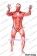 Attack On Titan Shingeki No Kyojin Kinnikuman Leotard Cosplay Costume Jumpsuit