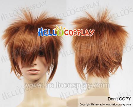 Katekyo Hitman Reborn Cosplay Sawada Tsunayoshi Wig