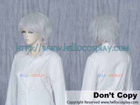 Light Grey Cosplay Short Layer Wig